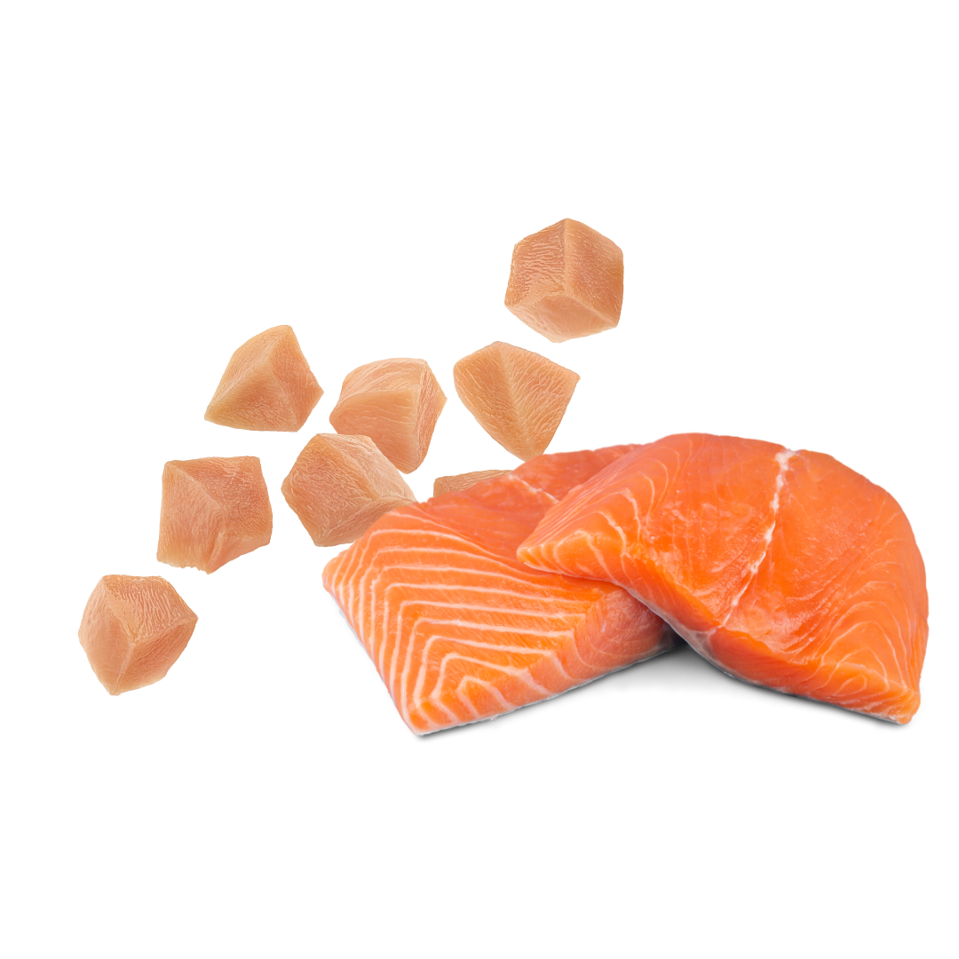 Premium Ingredients