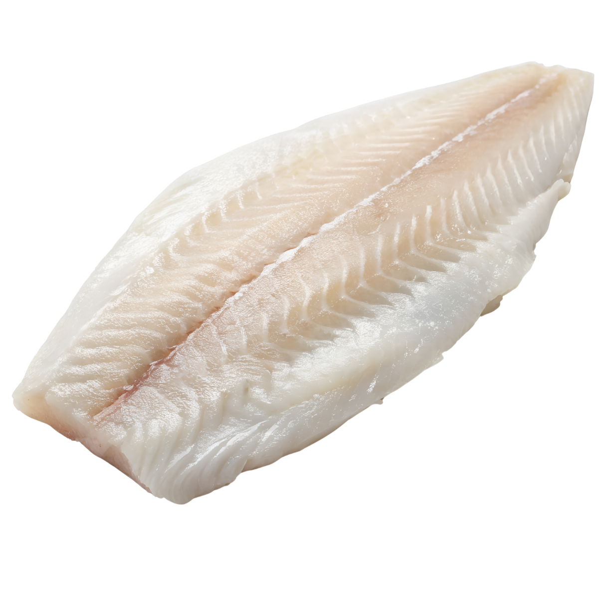 Premium Ingredients