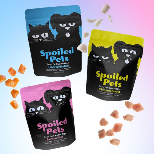 Treats Box
