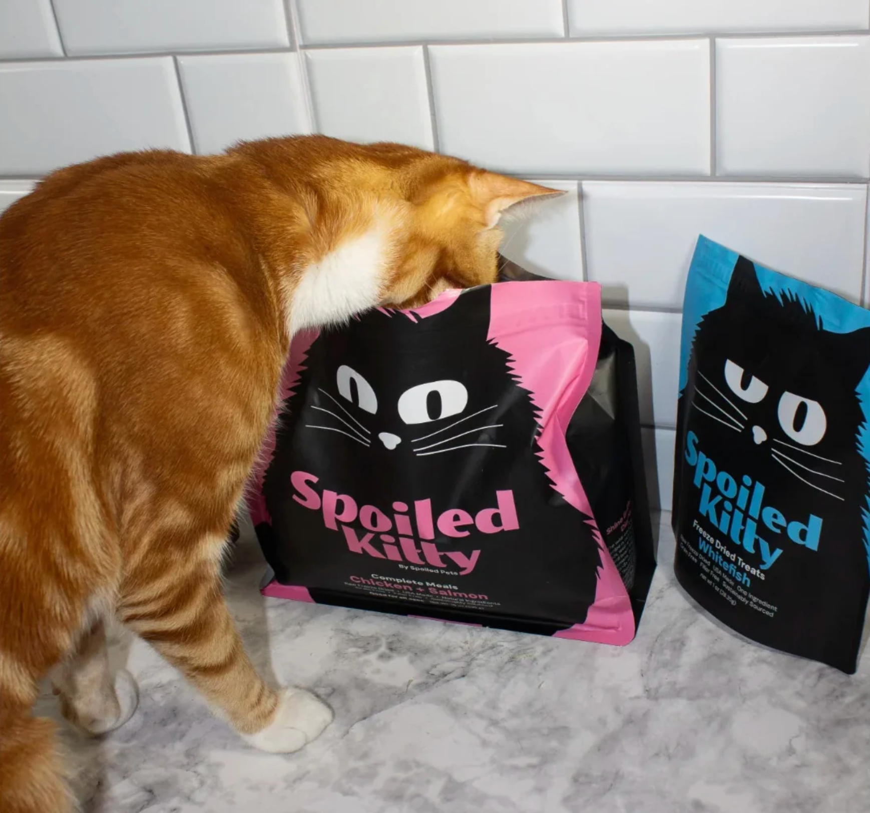 The Future of Pet Food Is Here: Meet Our New Balanced Bowls