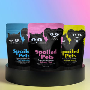 Treats Box