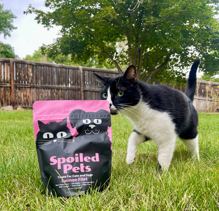Core Values | Spoiled Pets