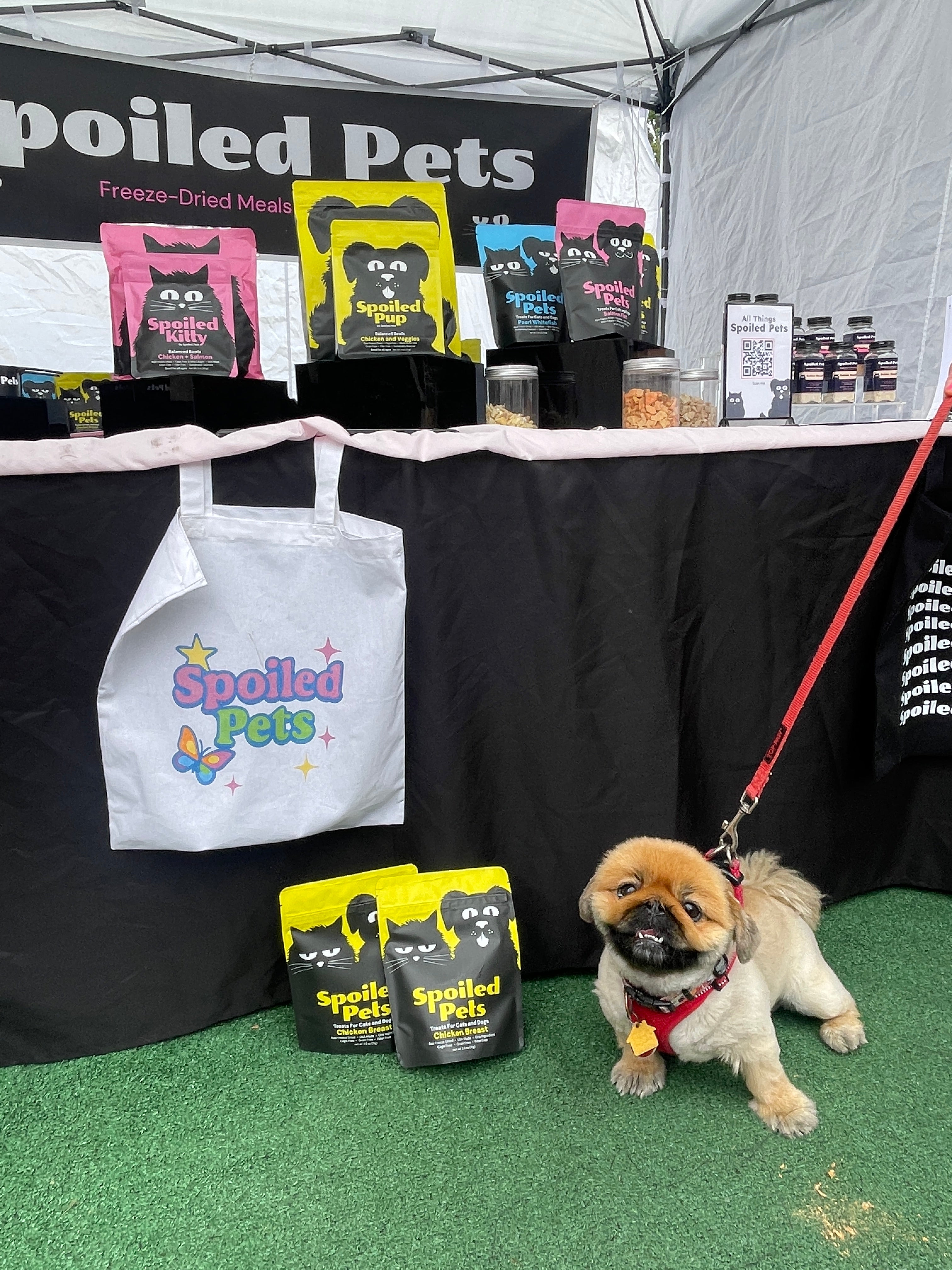 Dog on a leash with 'Spoiled Pets' products and a white apron on a green surface