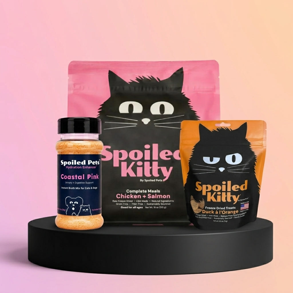 Cat Starter Kit: Chicken and Salmon Balanced Bowl, Coastal Pink hydration enhancer and Duck à l’Orange treats