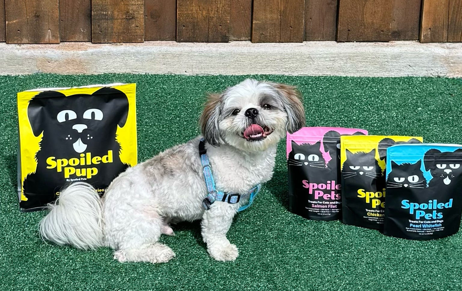 Small dog sitting on grass with 'Spoiled Pup' pet product packaging in the background.
